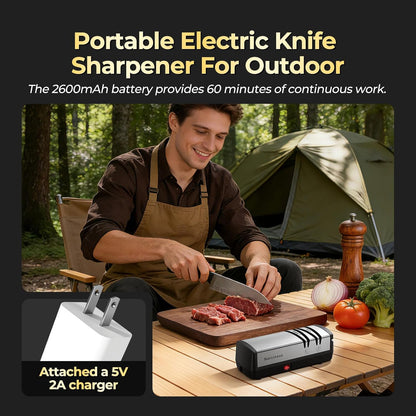 Knife Sharpener, Protable Diamond Electric Knife Sharpener for Stainless Steel and Ceramic Knives, with Scissors Sharpener & Metal Dust Collection Box, Quick Sharpening & Polishing, Silver
