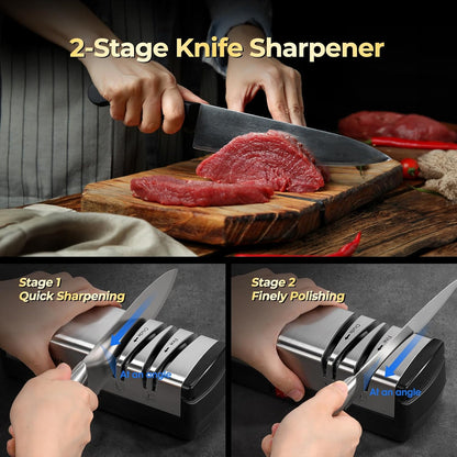 Knife Sharpener, Protable Diamond Electric Knife Sharpener for Stainless Steel and Ceramic Knives, with Scissors Sharpener & Metal Dust Collection Box, Quick Sharpening & Polishing, Silver