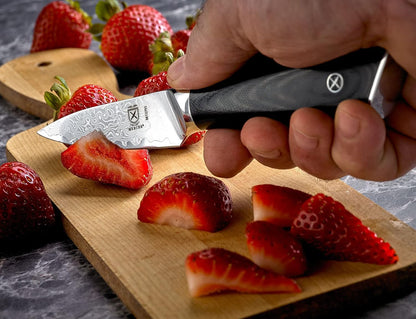 M13791 Premium Grade Super Steel, 3.5-Inch Paring Knife, G10 Handle