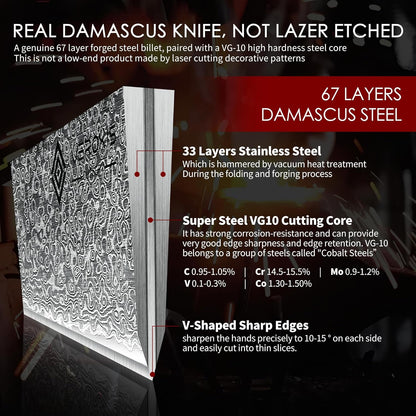 Damascus Chef Knife 8 Inch, Professional Japanese Kitchen Knives Sharp High Carbon Super Steel with Ergonomic Pakkawood Handles, Elegant Gift Box Packaging