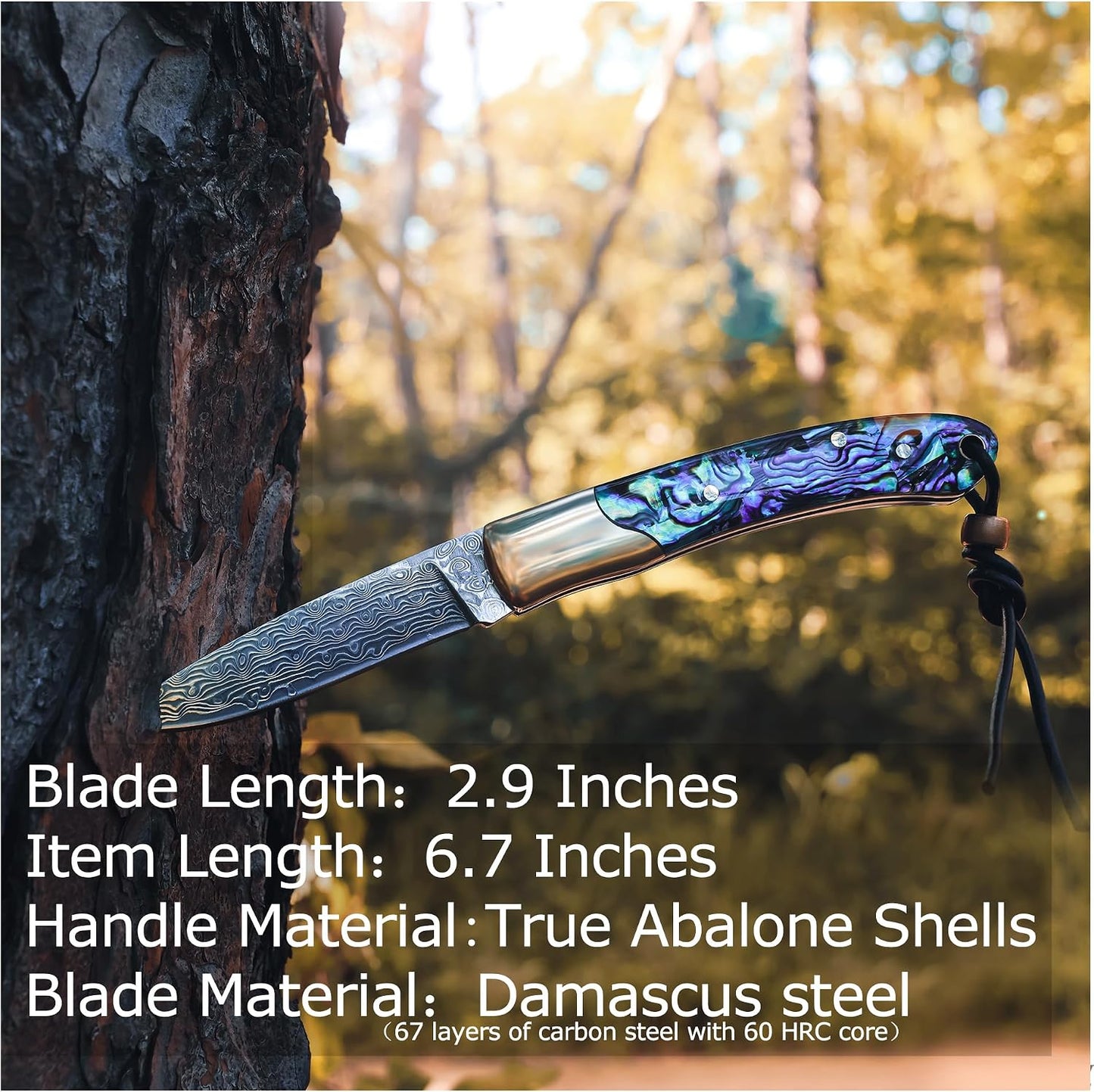 Camp Pearl Folding Knife – Damascus Steel Blade, Abalone Shell Handle, for Campfire Cooking & BBQ, Slip Joint Design