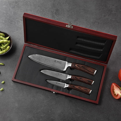 EDIB 4-Piece Damascus Kitchen Knife Set, Elegant Wooden Gift Box