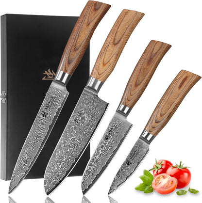 EDIB 4-Piece Damascus Kitchen Knife Set, Elegant Wooden Gift Box