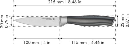 Graphite Razor-Sharp 4-inch Paring Knife, German Engineered Informed by 100+ Years of Mastery, Gray