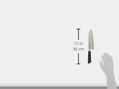 Masahiro 13004 Professional Japanese Steel Petty Knife, 5.9 inches (15 cm)