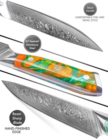 Carving Knife - 9 inch Kitchen Meat Cutting Slicing Knife- Xuan Series - VG10 Damascus Steel with Resin Handle (Starry Black)