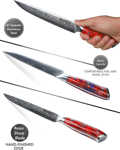 Carving Knife - 9 inch Kitchen Meat Cutting Slicing Knife- Xuan Series - VG10 Damascus Steel with Resin Handle (Starry Black)
