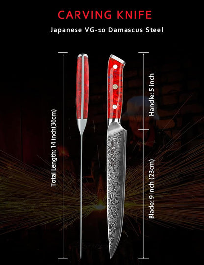 Carving Knife - 9 inch Kitchen Meat Cutting Slicing Knife- Xuan Series - VG10 Damascus Steel with Resin Handle (Starry Black)