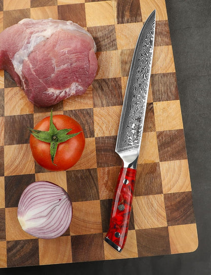 Carving Knife - 9 inch Kitchen Meat Cutting Slicing Knife- Xuan Series - VG10 Damascus Steel with Resin Handle (Starry Black)
