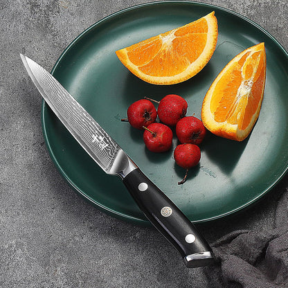 Damascus Kitchen Utility Knife, 5.5" Paring Knife VG10 Damascus Stainless Steel, 67-Layer Forged Blade, Perfect for Peeling, Slicing & Trimming