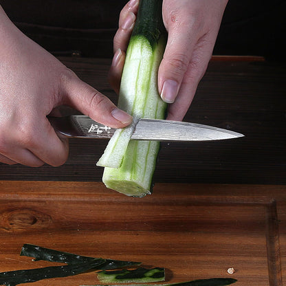 Damascus Kitchen Utility Knife, 5.5" Paring Knife VG10 Damascus Stainless Steel, 67-Layer Forged Blade, Perfect for Peeling, Slicing & Trimming