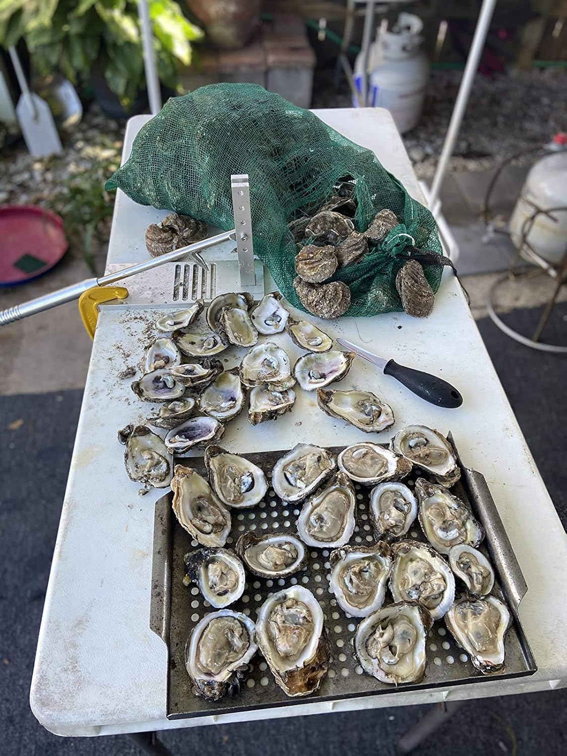 Oyster Shucker Machine, Oyster Clam Shucking Kit