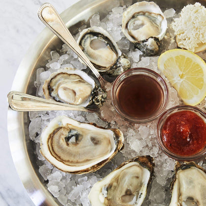 Oyster Shucker Machine, Oyster Clam Shucking Kit
