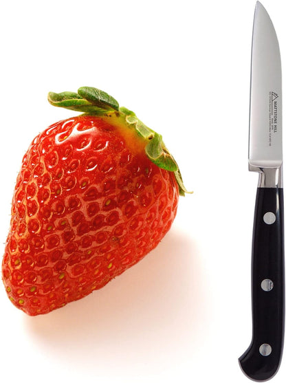 Serrated Utility Knife - MATTSTONE HILL 4.7" Kitchen Knife, German Stainless Steel Vegetable Knife, Paring Knife, Triple Rivet Handle