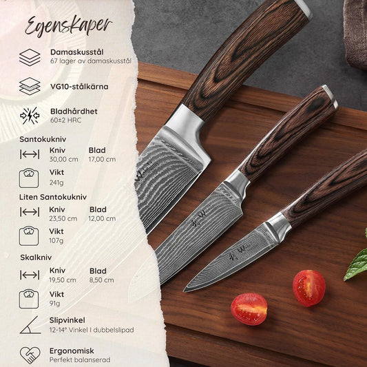 EDIB Magnetic Kitchen Knife Block Set, VG10 Damascus, 3-Piece Knives | Three VG10 Damascus chef knives with 67-layer steel blades, santoku knife set and magnetic knife block, pakkawood handles.