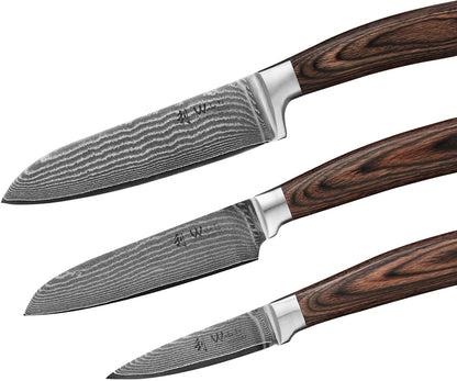 EDIB Magnetic Kitchen Knife Block Set, VG10 Damascus, 3-Piece Knives | Three VG10 Damascus chef knives with 67-layer steel blades, santoku knife set and magnetic knife block, pakkawood handles.