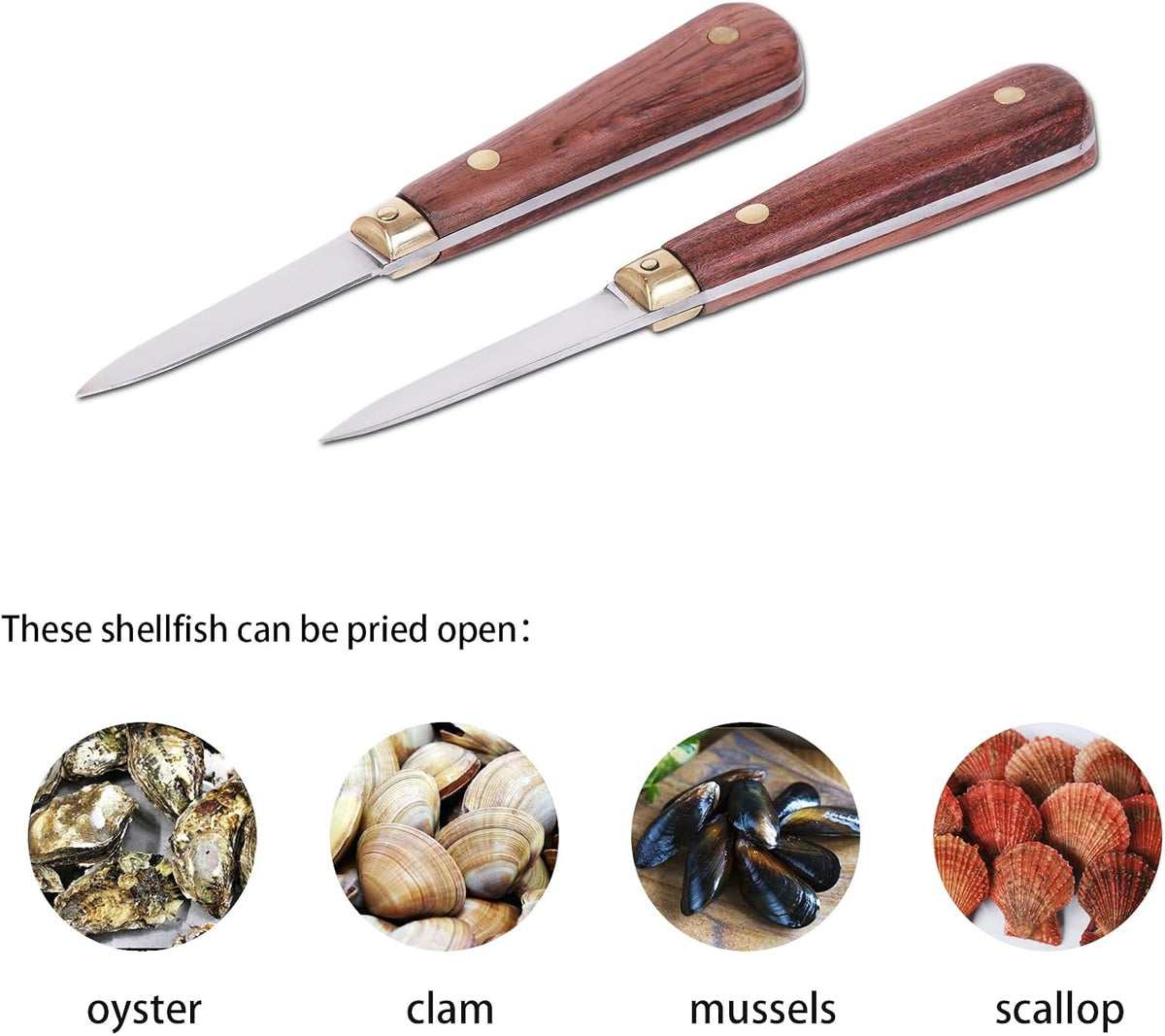 Oyster Shucking Knife Set, 2 Rosewood Knives & Gloves (M)