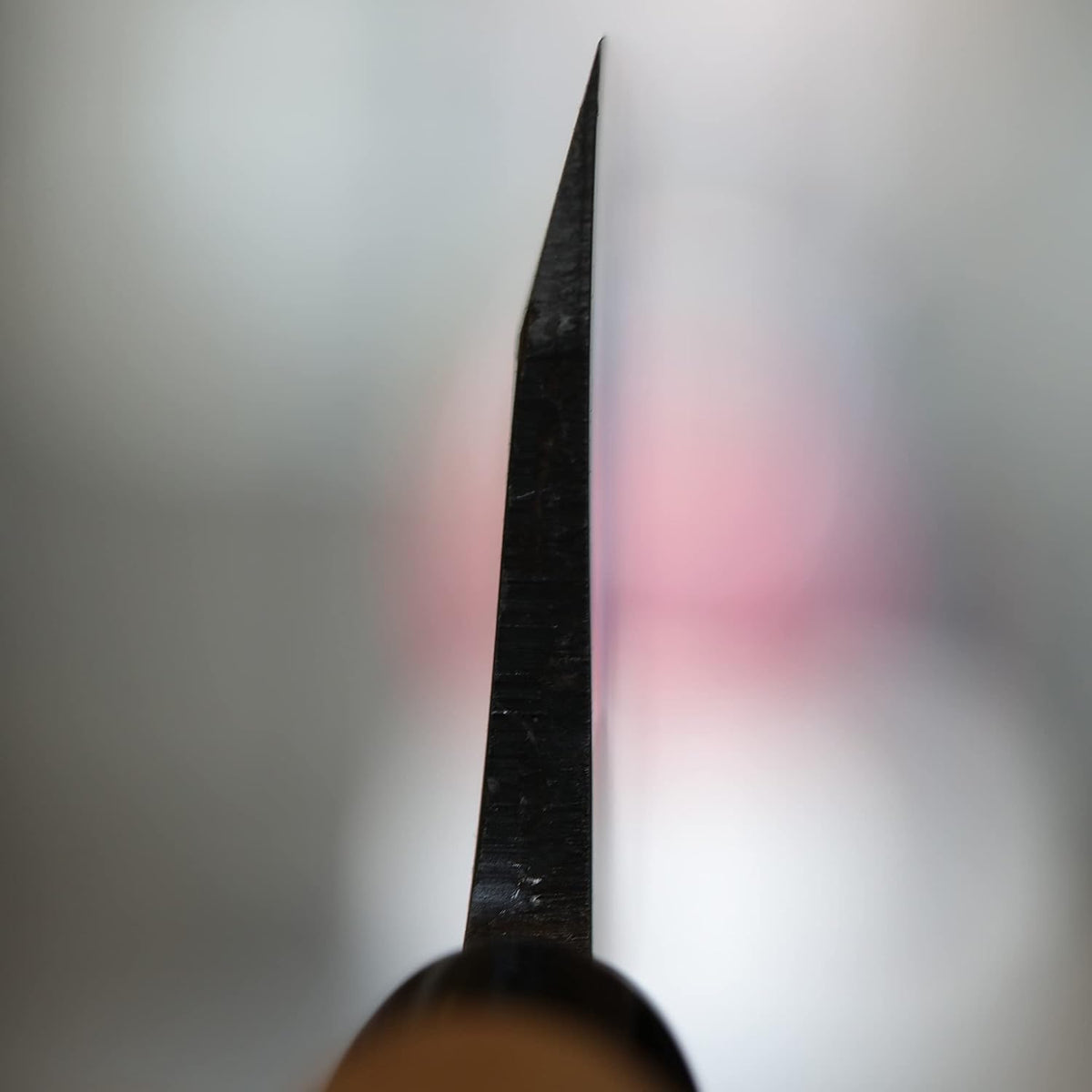Kanetsune Usu-Deba 120mm With Plastic Bolster Magnolia wood handle,"Kuro-Uchi" finished KC-553