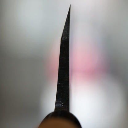 Kanetsune Usu-Deba 120mm With Plastic Bolster Magnolia wood handle,"Kuro-Uchi" finished KC-553