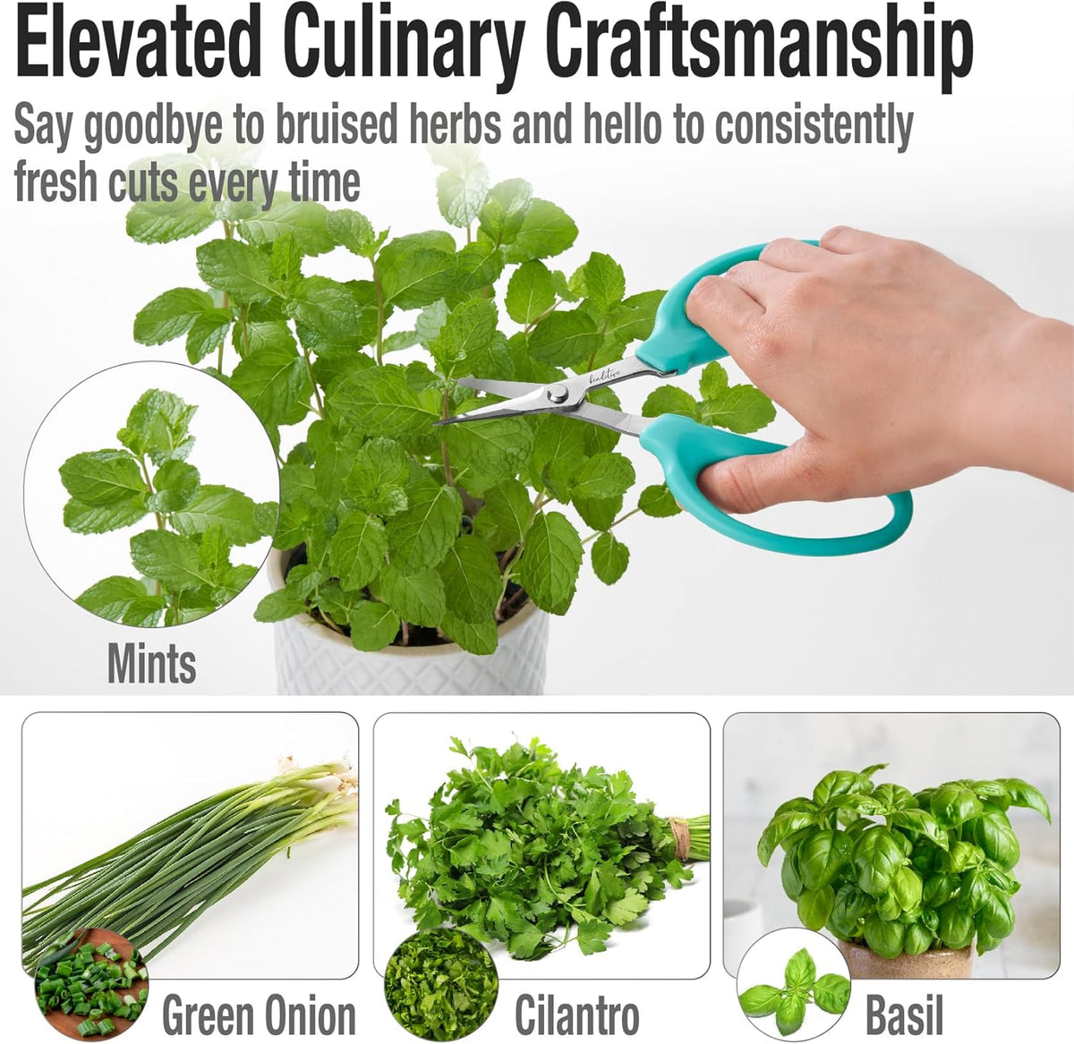 Culinary Herb Scissors - Compact 6.5-Inch Stainless Steel Kitchen Scissors - Dishwasher Safe - Sharp Tip for Snipping Fresh Herbs