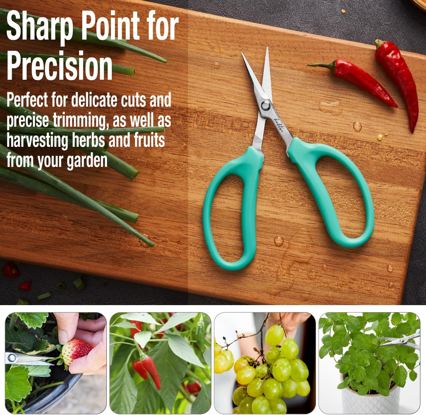 Culinary Herb Scissors - Compact 6.5-Inch Stainless Steel Kitchen Scissors - Dishwasher Safe - Sharp Tip for Snipping Fresh Herbs