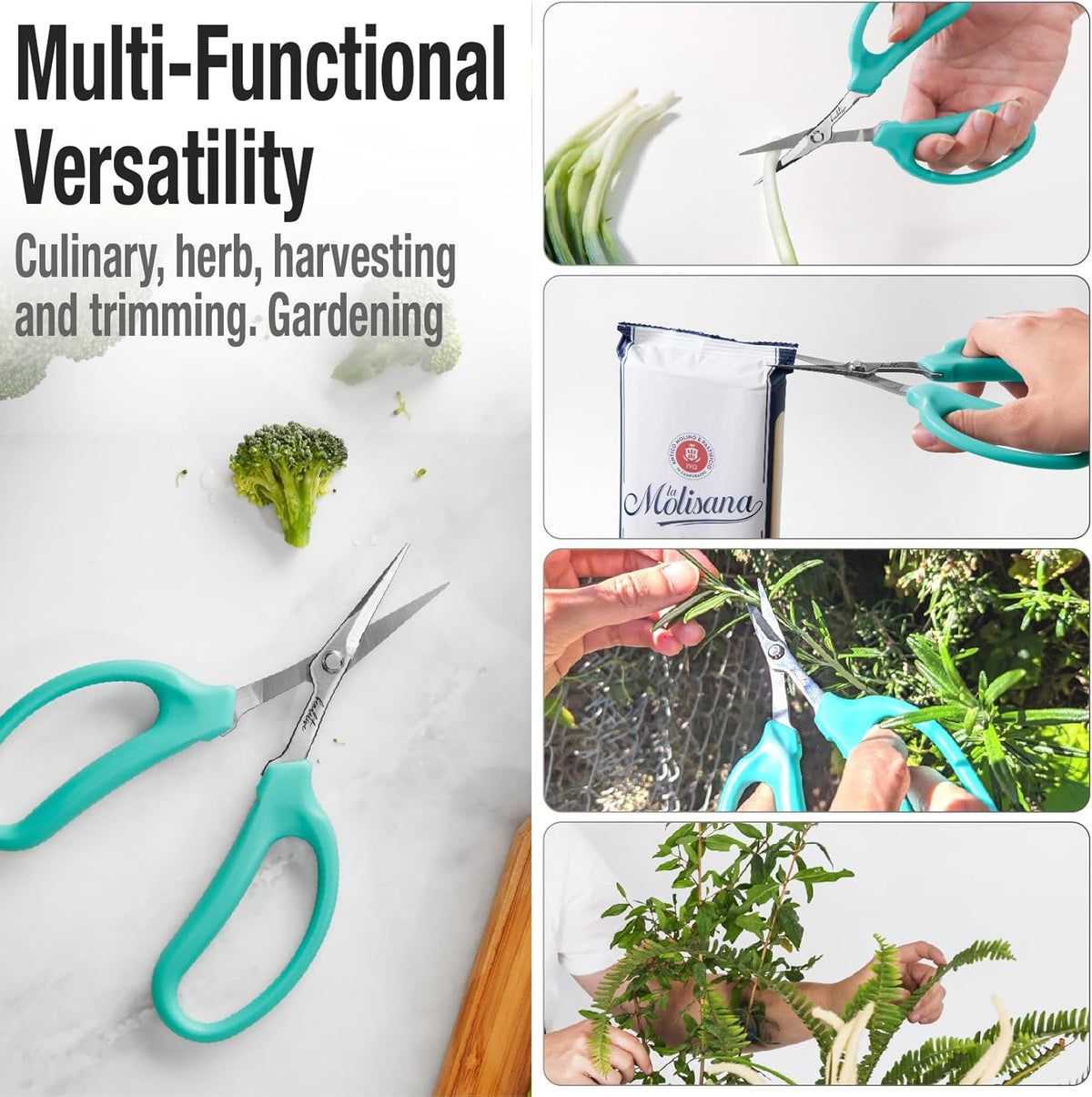 Culinary Herb Scissors - Compact 6.5-Inch Stainless Steel Kitchen Scissors - Dishwasher Safe - Sharp Tip for Snipping Fresh Herbs