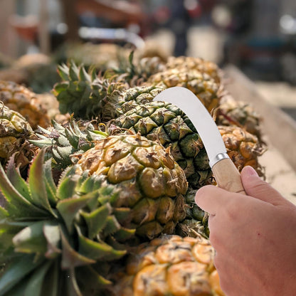 Fruit Knife Stainless Steel Multifunctional Fruit Cutter Pineapple Banana Jackfruit Easy to Peel Store