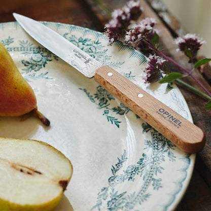 No. 112 Paring Knives 2 Piece Set, Sandvik 12C27 Steel Everyday Use Prep Knives for Chopping, Peeling, Slicing, Trimming, Stabilized Sustainably Harvested Beechwood Handles, Made in France