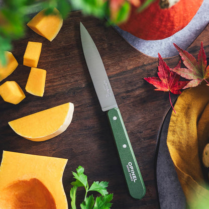 No. 112 Paring Knives 2 Piece Set, Sandvik 12C27 Steel Everyday Use Prep Knives for Chopping, Peeling, Slicing, Trimming, Stabilized Sustainably Harvested Beechwood Handles, Made in France