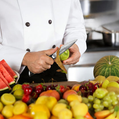 Damascus Fruit Knife 4", Ultra Sharp Paring Knife, 67 Layers Damascus Steel VG10 Core Multipurpose Small Kitchen Knife Professional Peeling Knives, G10 Handle with Rivet Chef Gift