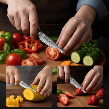 Damascus Fruit Knife 4", Ultra Sharp Paring Knife, 67 Layers Damascus Steel VG10 Core Multipurpose Small Kitchen Knife Professional Peeling Knives, G10 Handle with Rivet Chef Gift
