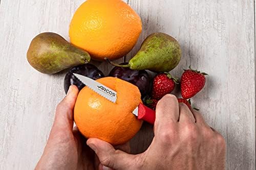 Arcos Set 3 pieces Paring Knife 3 Inch. 3 Paring Knives of Stainless Steel and Ergonomic Polypropylene Handle for Cutting Fruits, Vegetables and Tubers.. Series Nova. Color Black