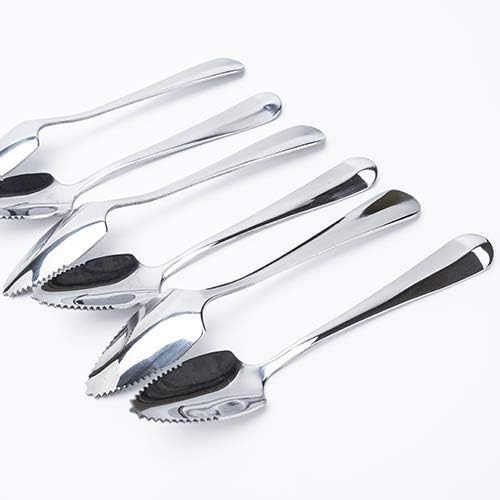 JUCOXO Grapefruit Spoons Set, 4 Pieces 6.1 inch Stainless Steel Half Serrated Citrus Fruit Vintage Dessert Spoons Gift for Kitchen