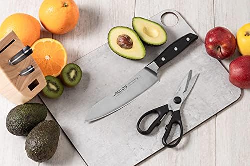 Arcos Forged Paring Knife 4 Inch Stainless Steel. Sharp Kitchen Knife for Peeling Fruits and Vegetables. Ergonomic Polyoxymethylene Handle and 100mm Blade. Series Manhattan. Color Black