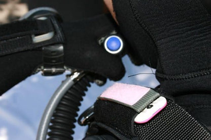 EEZYCUT Trilobite Webbing and Line Knife - Belt Mounted