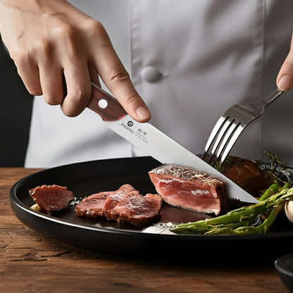 Steak Knives, Serrated Steak knives Set of 6, Japanese HC Steel Knife Set, Premium Serrated Carbon Stainless Steel Steak Knife with Gift Box,9 Inches/Piece, Silver