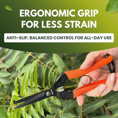 Saboten 7.9" Professional Japanese Harvesting Shears, Straight Precision Blade, Black Fluorine-Coated Stainless Steel, Spring-Loaded, Shock-Absorbing Grip, Safety Lock, Made in Japan
