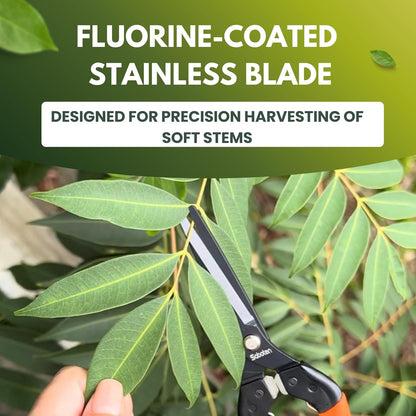Saboten 7.9" Professional Japanese Harvesting Shears, Straight Precision Blade, Black Fluorine-Coated Stainless Steel, Spring-Loaded, Shock-Absorbing Grip, Safety Lock, Made in Japan