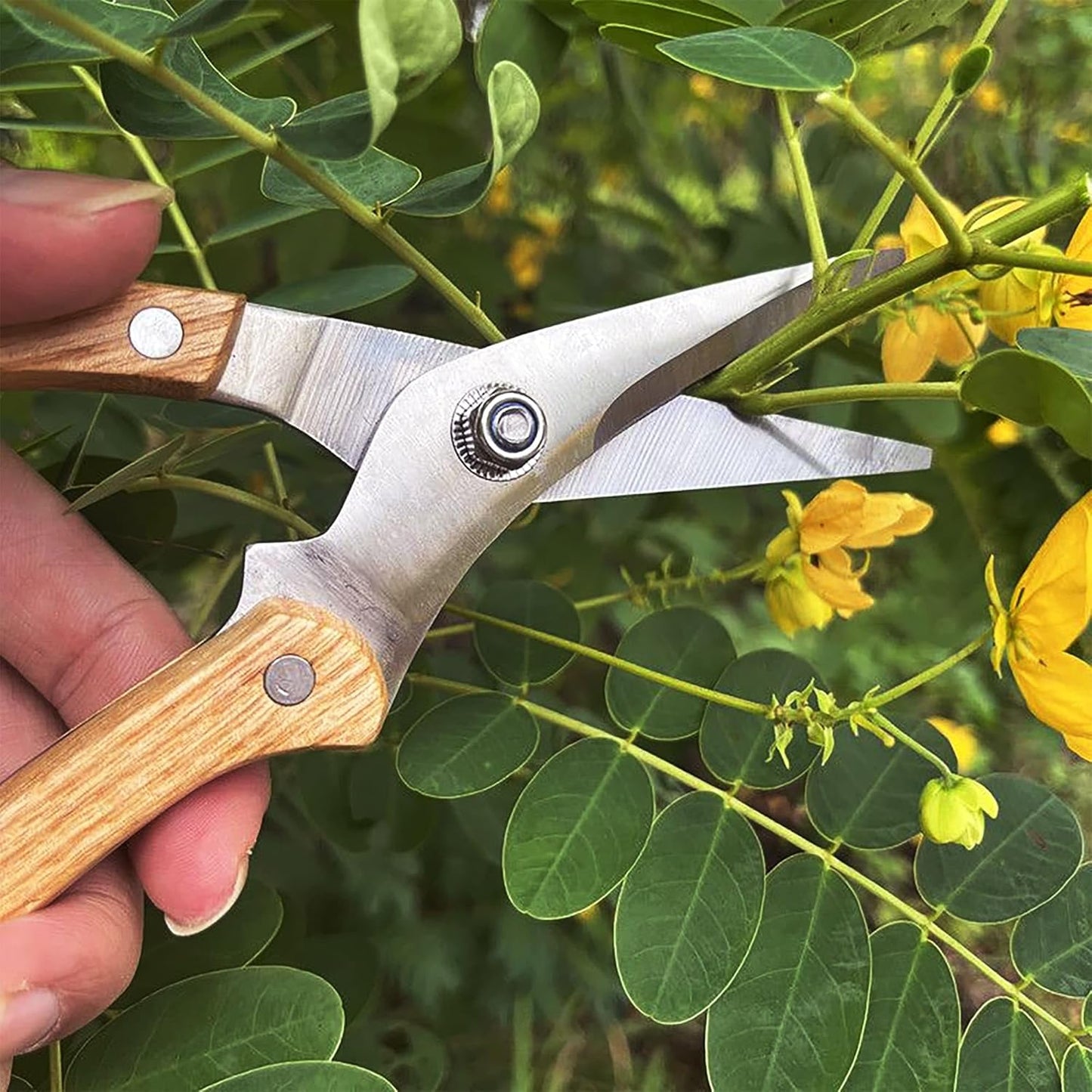 Garden Shears Set of 2, Includes 1 Bypass Pruning Shears and 1 Straight Blade Garden Scissors, Sharp, Lightweight