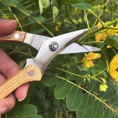 Garden Shears Set of 2, Includes 1 Bypass Pruning Shears and 1 Straight Blade Garden Scissors, Sharp, Lightweight