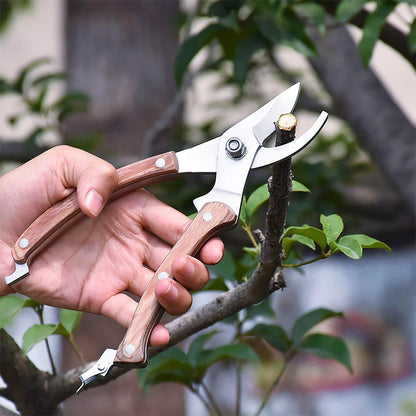 Garden Shears Set of 2, Includes 1 Bypass Pruning Shears and 1 Straight Blade Garden Scissors, Sharp, Lightweight