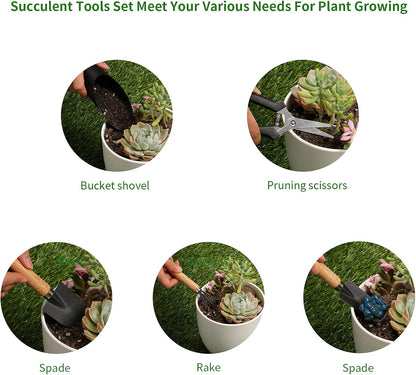 5 Pcs Succulent Tools, Mini Garden Tools, Small Indoor Plant Repotting Set | Pruning Scissors as Plant Accessories, Gardening Hand Tools Kit for Seedling Soil,Caring Succulent,Houseplant,Bonsai