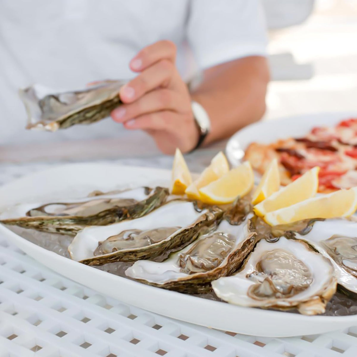 Knife Shucker Set Oyster Shucking Knife and Gloves set
