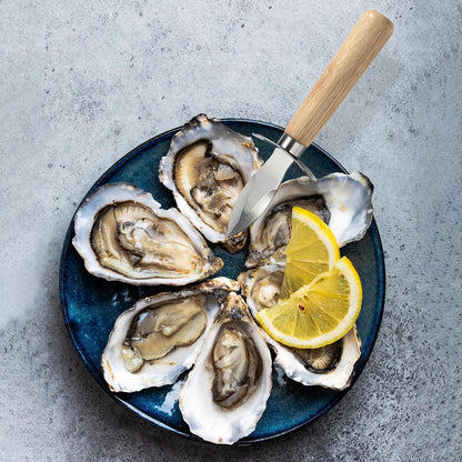 Oyster Knife Stainless Steel Oyster Shucking Knife Set of 4 for Seafood Tools