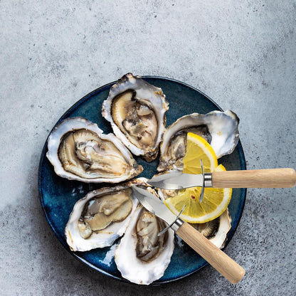 Oyster Knife Stainless Steel Oyster Shucking Knife Set of 4 for Seafood Tools