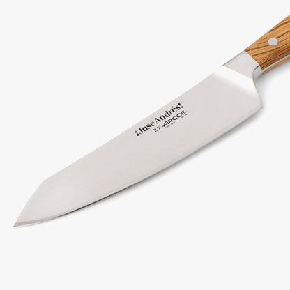 Arcos Jose Andres 10-Inch Fillet Knife Forged Meat Slicer | Professional NITRUM Stainless Steel Blade with Silk Edge | Ideal for Slicing Ham or Prosciutto | Ergonomic Holm Oak Wood Handle