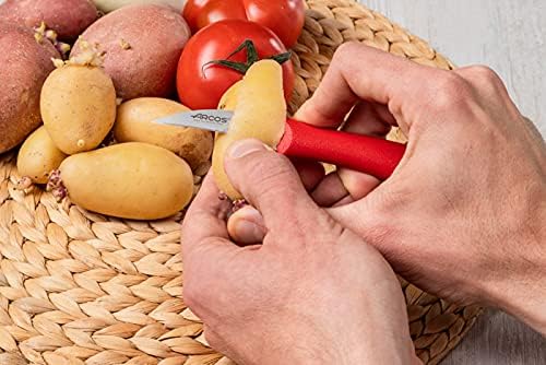 Arcos Set 3 pieces Paring Knife 3 Inch. 3 Paring Knives of Stainless Steel and Ergonomic Polypropylene Handle for Cutting Fruits, Vegetables and Tubers.. Series Nova. Color Black