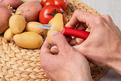 Arcos Set 3 pieces Paring Knife 3 Inch. 3 Paring Knives of Stainless Steel and Ergonomic Polypropylene Handle for Cutting Fruits, Vegetables and Tubers.. Series Nova. Color Black