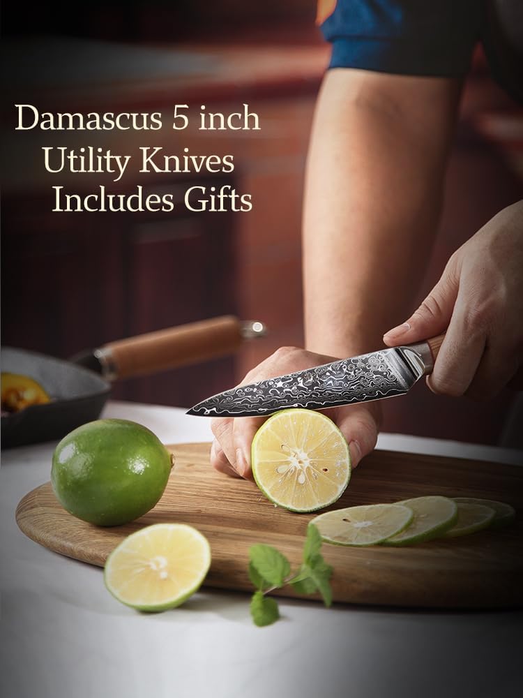 DONGSUN 8 Inch Damascus Chef Knife with North American Black Walnut Sheath, 67-Layer VG10 Forged Steel Japanese Gyuto, Professional Durable Sharpness