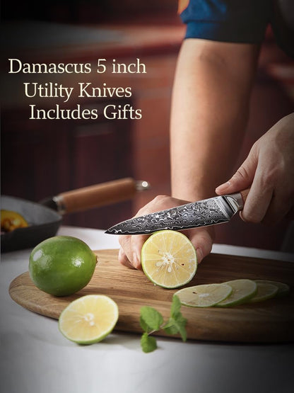 DONGSUN 8 Inch Damascus Chef Knife with North American Black Walnut Sheath, 67-Layer VG10 Forged Steel Japanese Gyuto, Professional Durable Sharpness